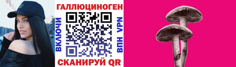 Купить закладки  Иннополис  Галлюциногенные грибы Psilocybe 